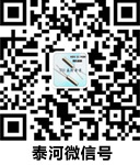 TH微信号
