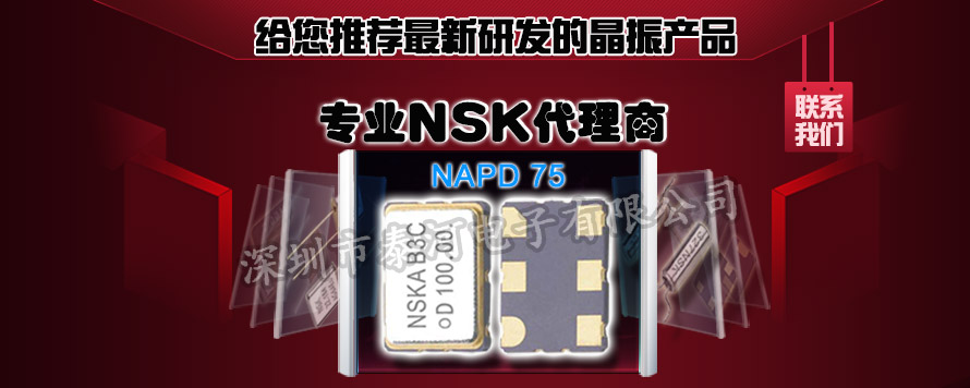 NSK-2